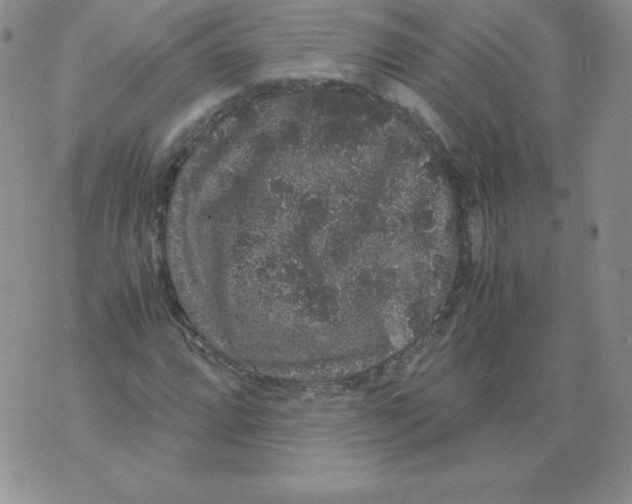 X0000071781064200607282232