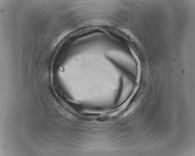 X0000071781065200607282232