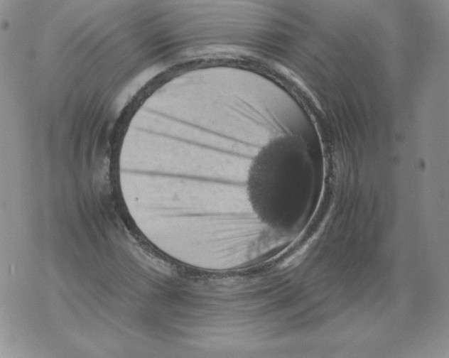 X0000071781066200607282232