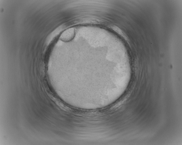 X0000071781067200607282232