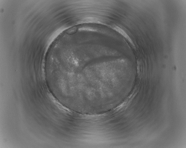 X0000071781068200607282232