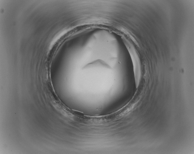 X0000071781069200607282232