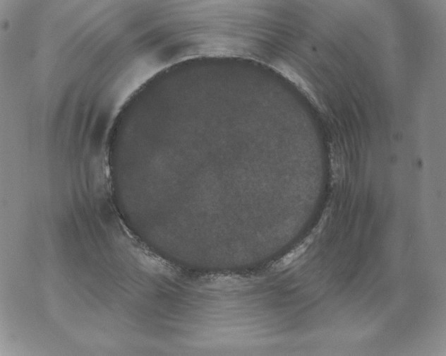 X0000071781070200607282232