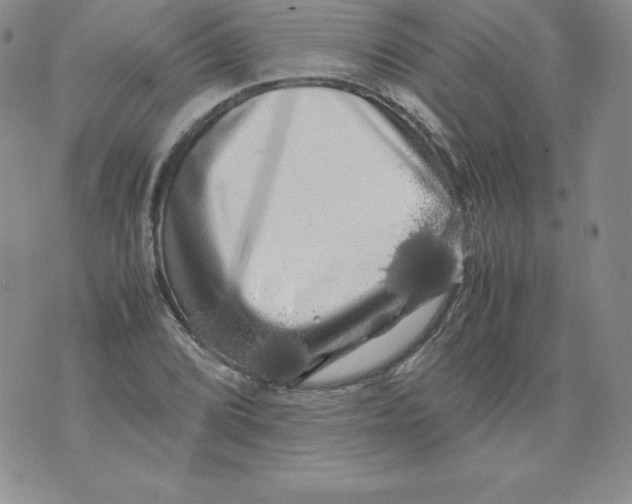 X0000071781072200607282232