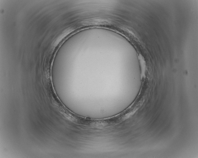 X0000071781073200607282232