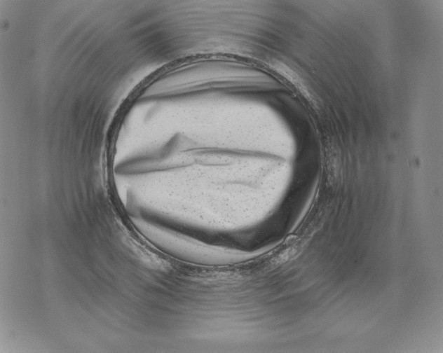 X0000071781076200607282232