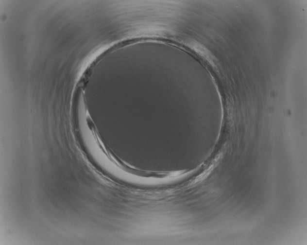 X0000071781077200607282232