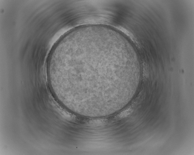 X0000071781078200607282232