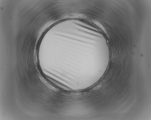 X0000071781080200607282232