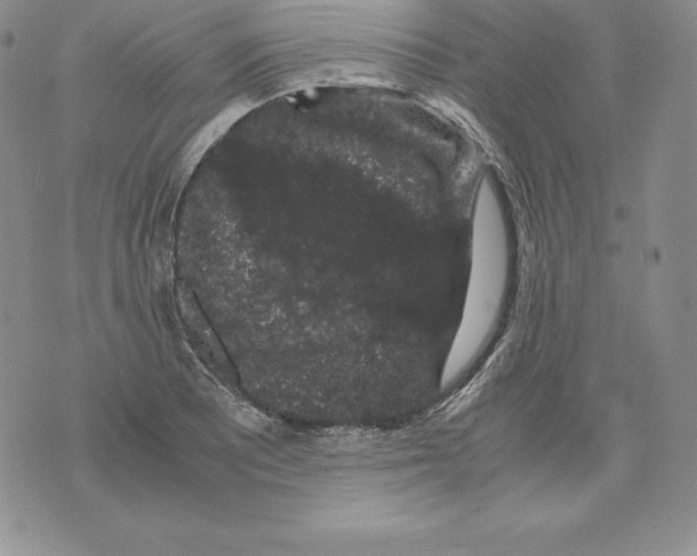 X0000071781081200607282232