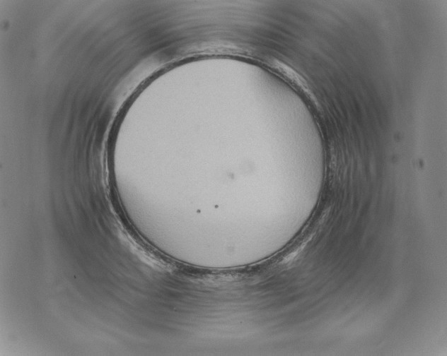 X0000071781082200607282232