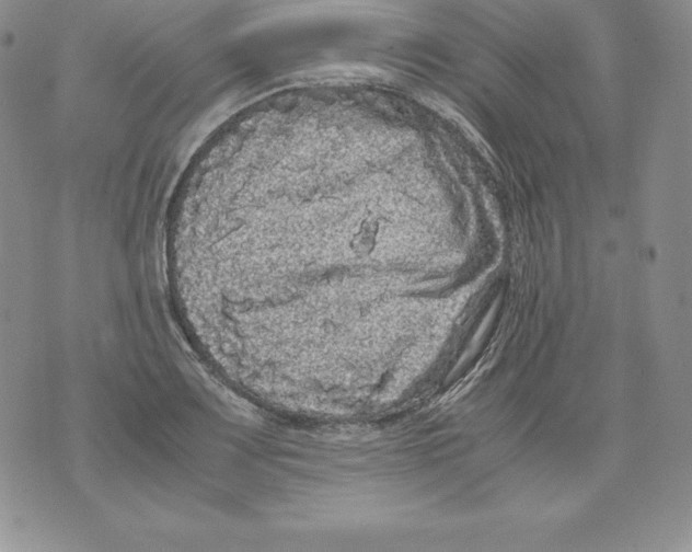 X0000071781083200607282232