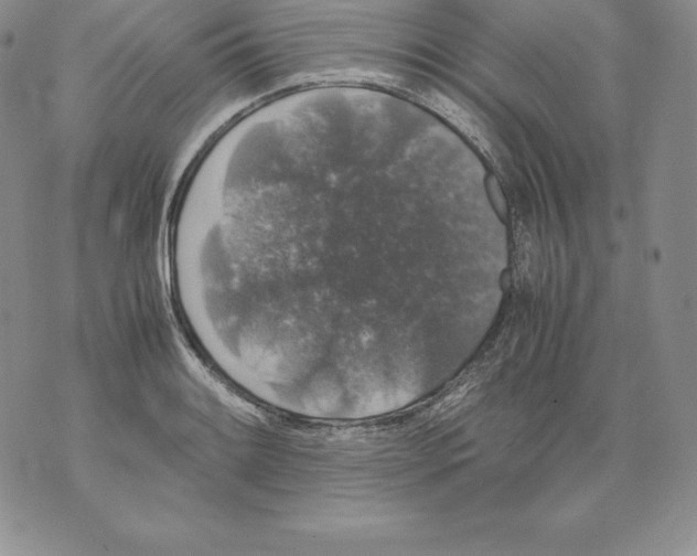 X0000071781084200607282232