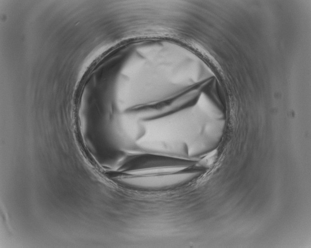 X0000071781085200607282232