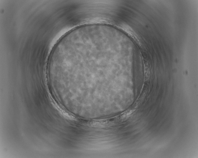 X0000071781086200607282232