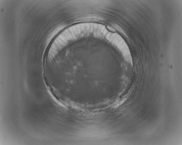 X0000071781087200607282232