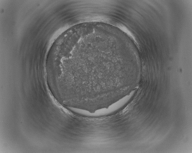 X0000071781088200607282232