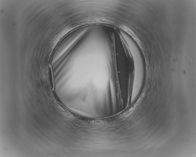 X0000071781089200607282232