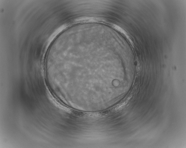 X0000071781090200607282232