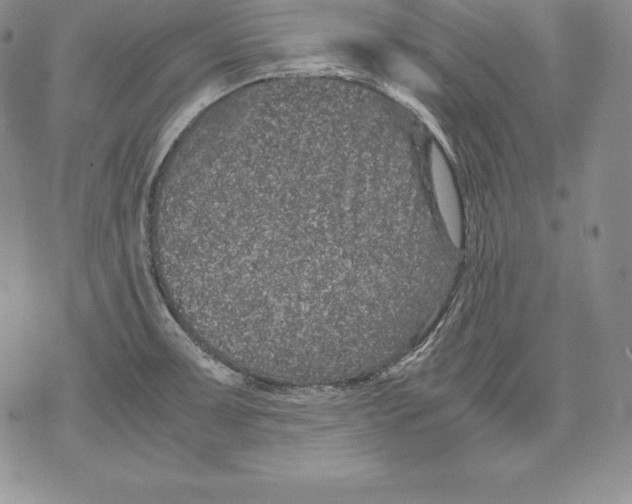 X0000071781091200607282232