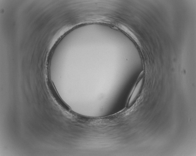 X0000071781093200607282232