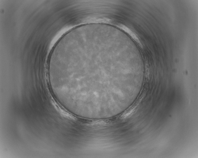 X0000071781094200607282232