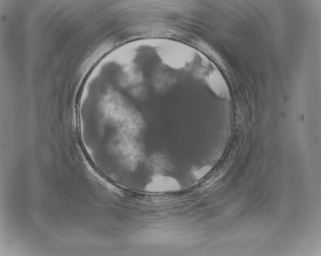 X0000071781095200607282232