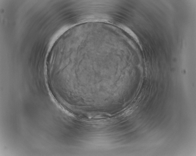 X0000071781096200607282232