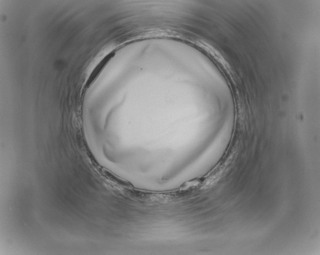 X0000071781097200607282232