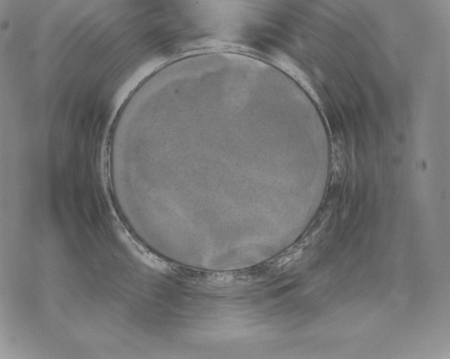 X0000071781098200607282232