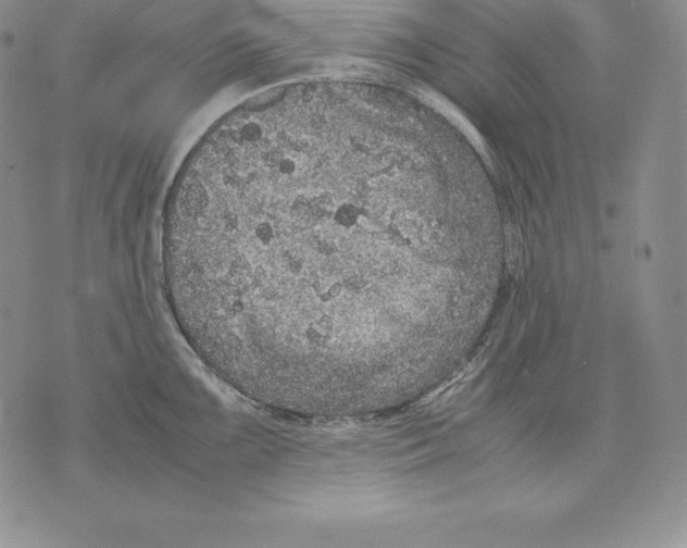 X0000071781099200607282232