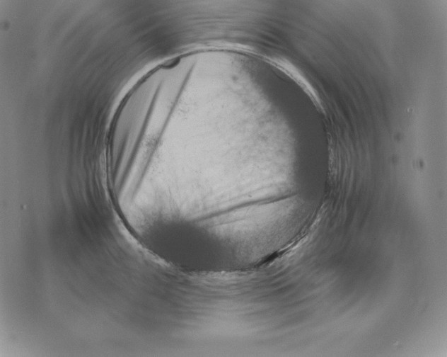 X0000071781100200607282232