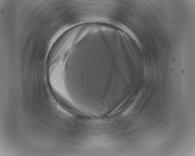 X0000071781102200607282232