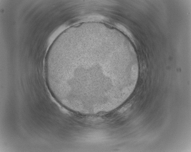 X0000071781103200607282232