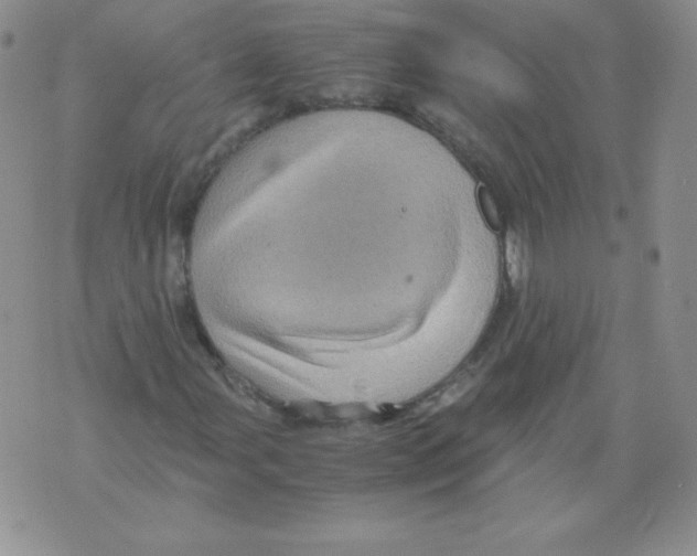 X0000071781107200607282231