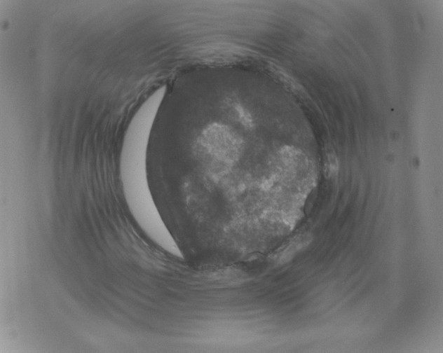 X0000071781108200607282231