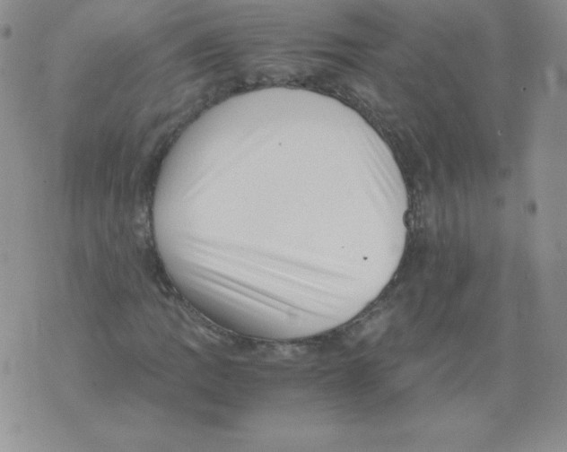 X0000071781109200607282231