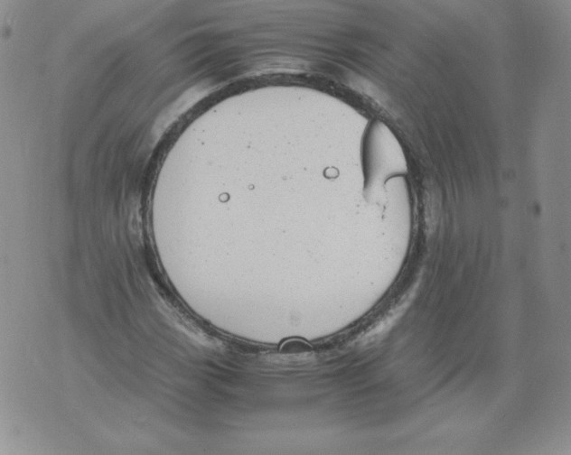 X0000071781113200607282231