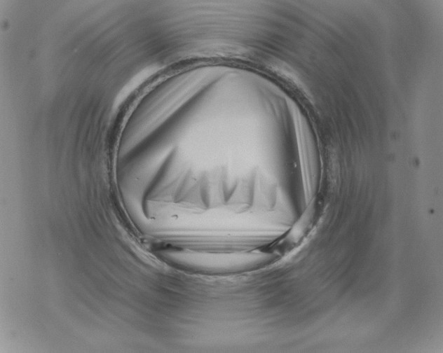 X0000071781114200607282231