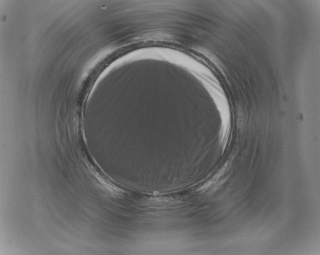 X0000071781115200607282231