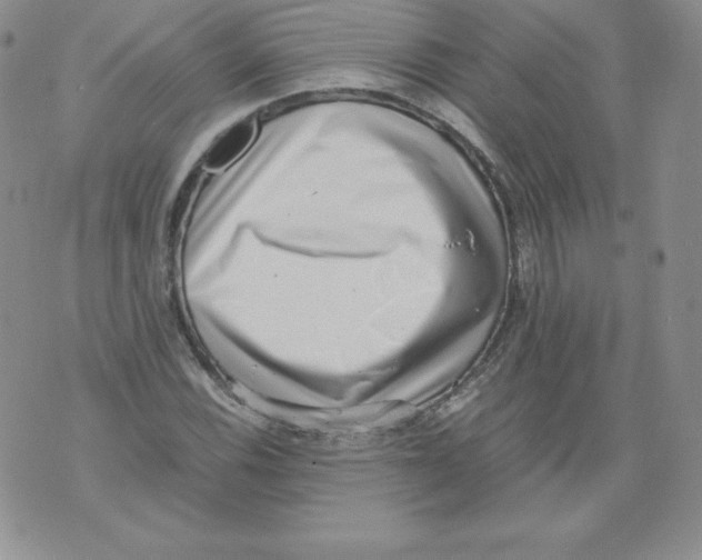 X0000071781116200607282231