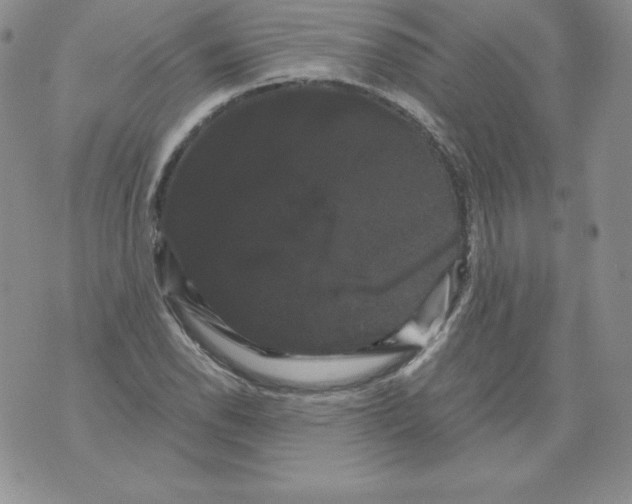 X0000071781118200607282231