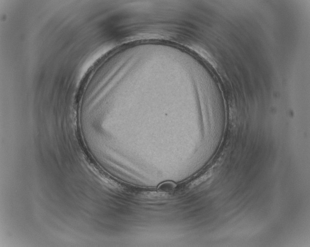 X0000071781119200607282231