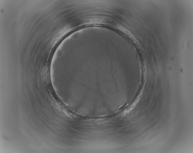 X0000071781121200607282231