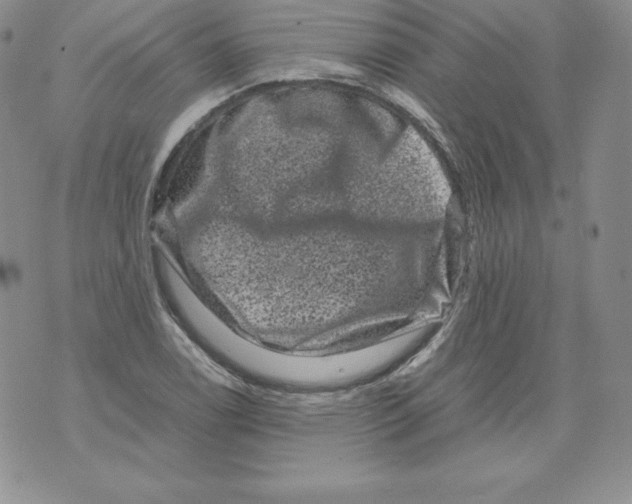 X0000071781122200607282231