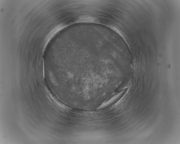 X0000071781123200607282231