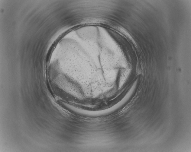 X0000071781124200607282231