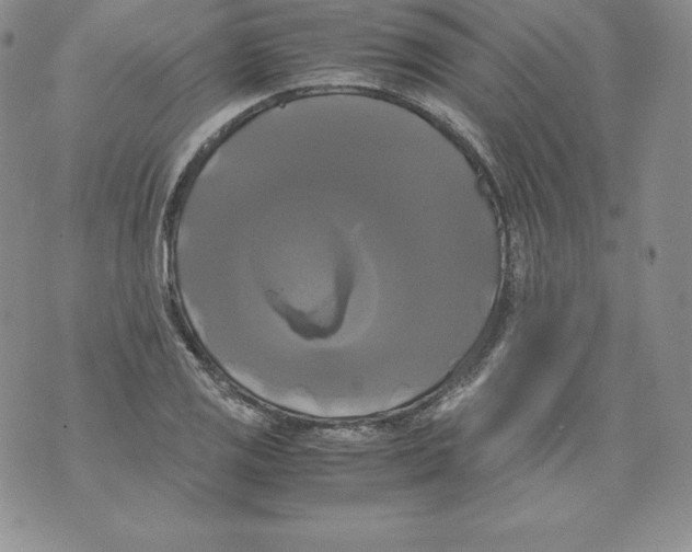 X0000071781125200607282231