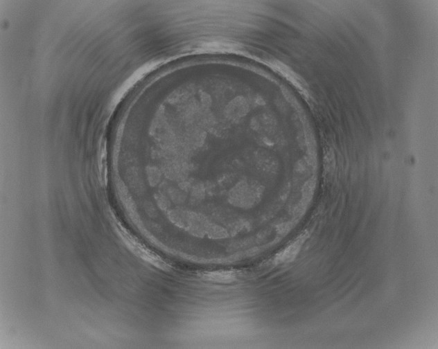 X0000071781126200607282231