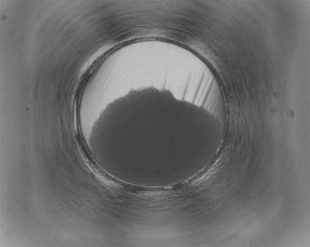 X0000071781127200607282231